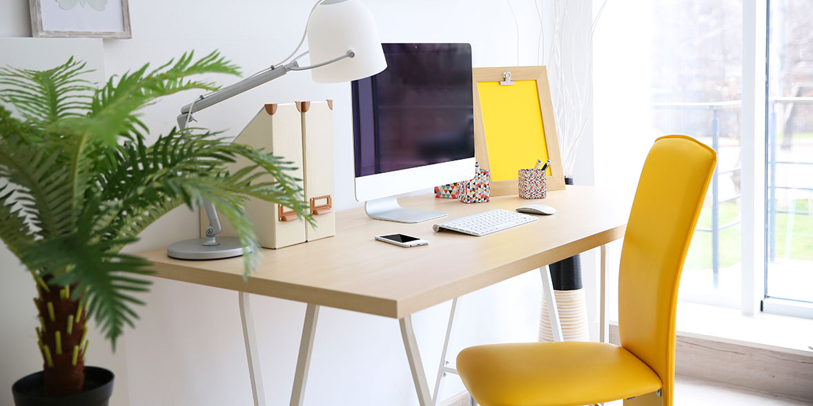 Home office with indoor plant