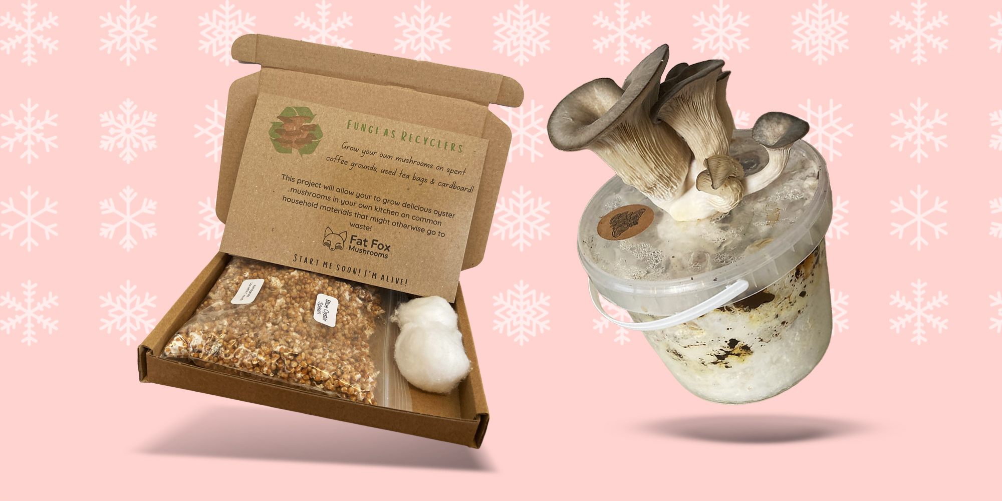 Fat Fox Mushrooms Tea & Coffee Recycling Kit