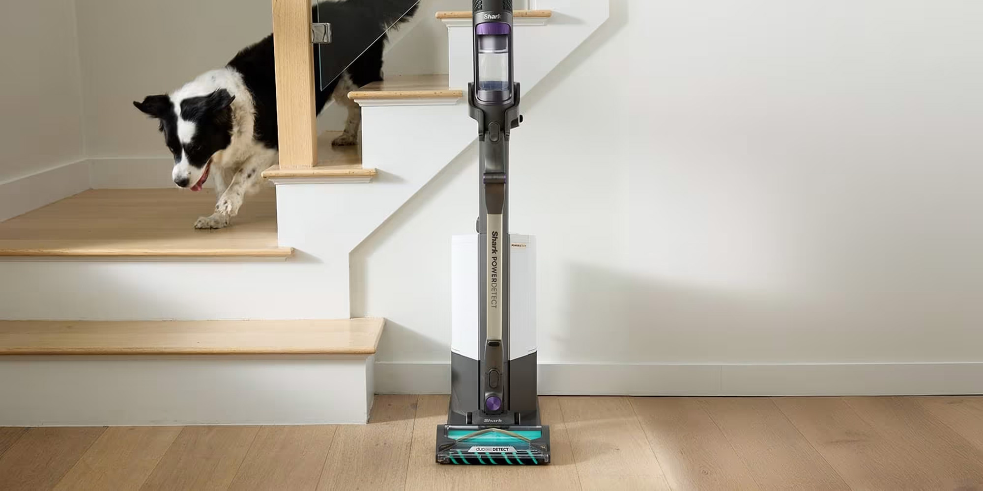Shark PowerDetect Clean & Empty Cordless Pet Vacuum Cleaner IP3251UKT