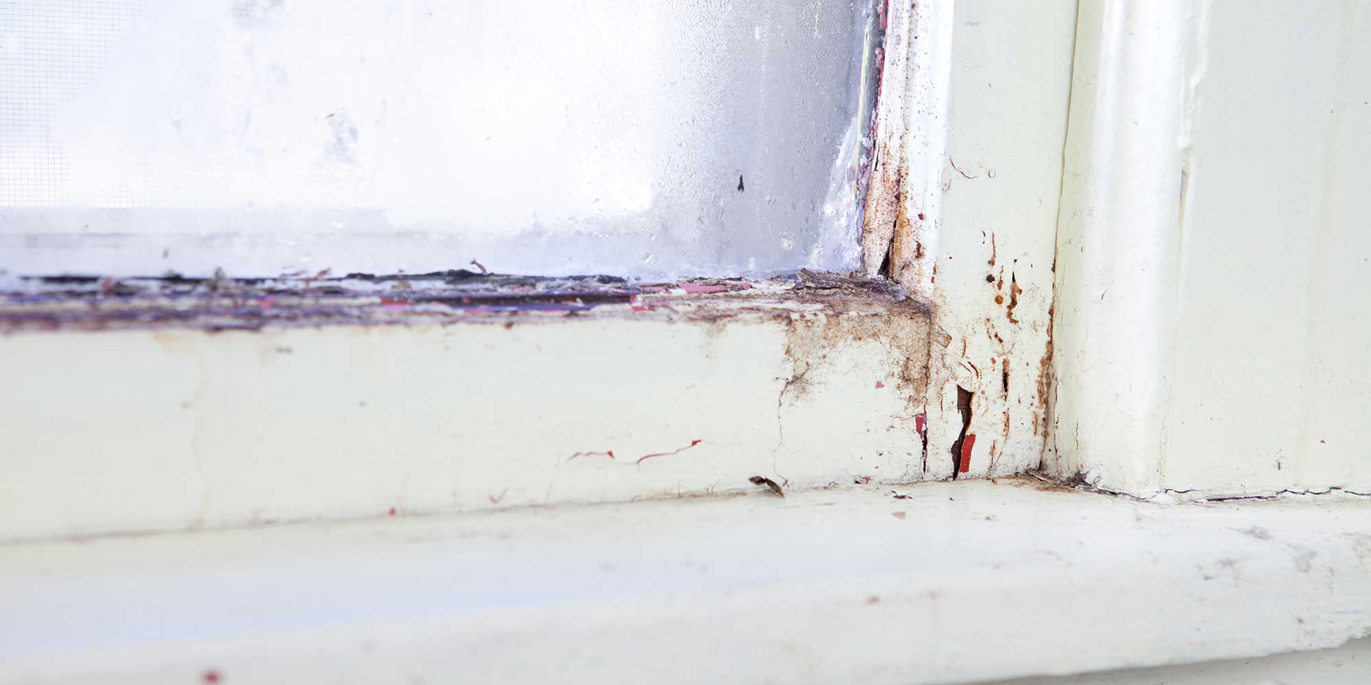 condensation damage on a window frame