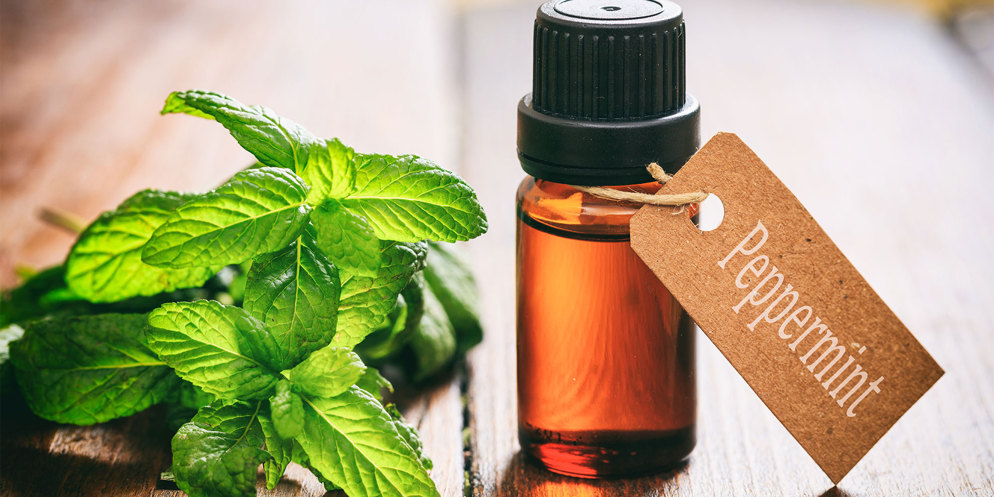 Peppermint oil