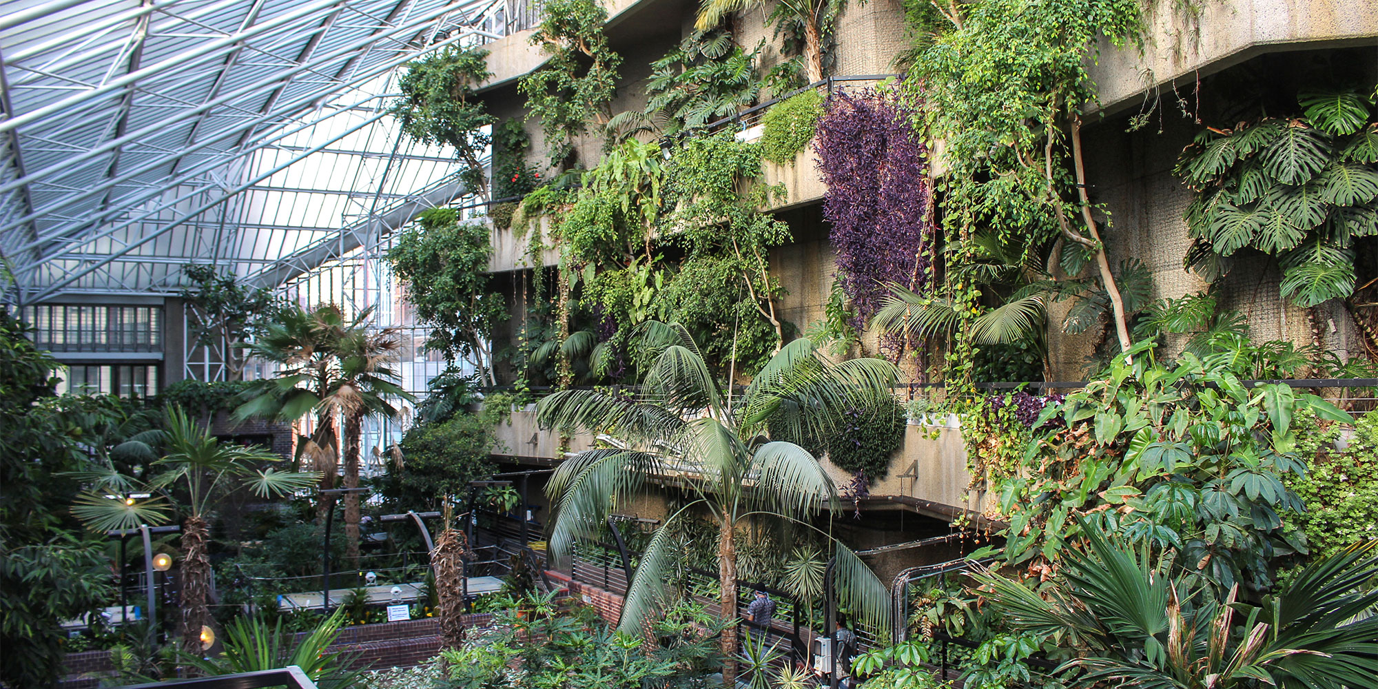 The Barbican Conservatory