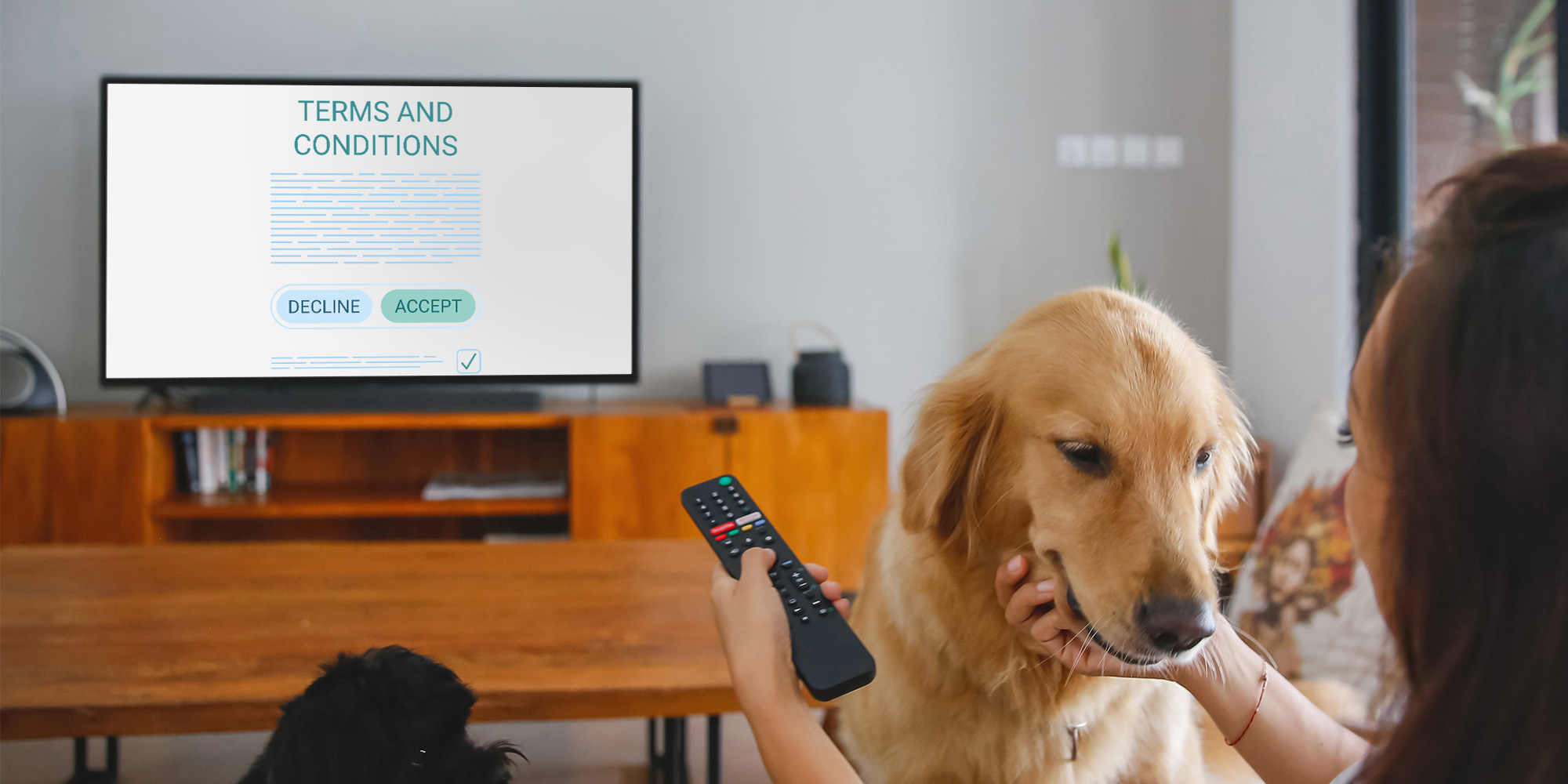 Over the shoulder of a woman holding a TV remote pointed at the TV. The TV is displaying terms and conditions with accept and decline options visible.