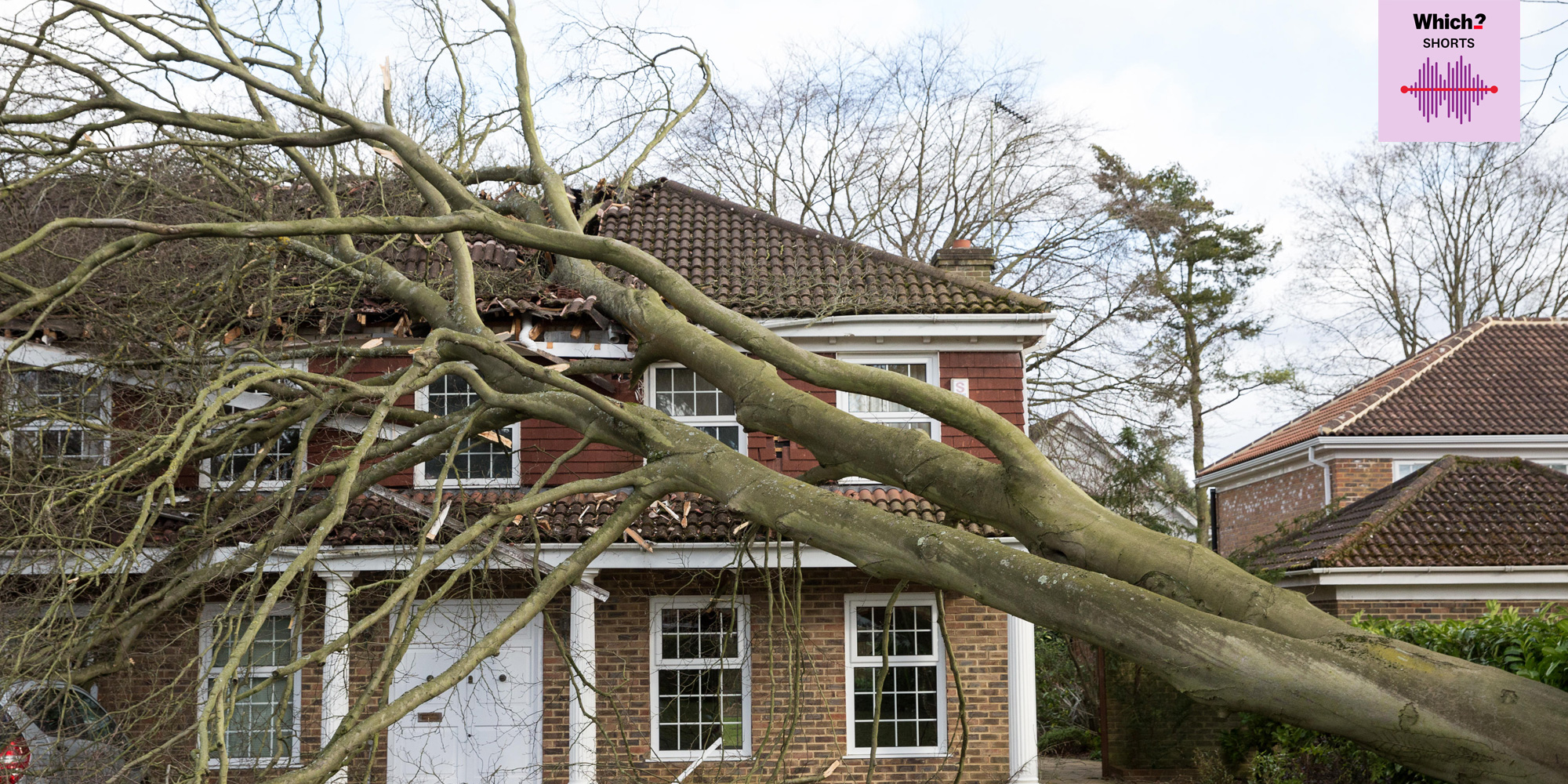 Best home insurance 2026