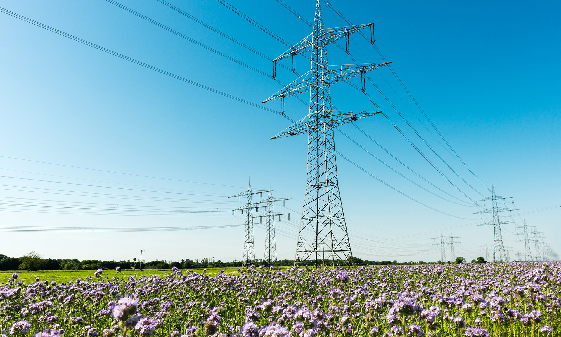 Electricity pylon