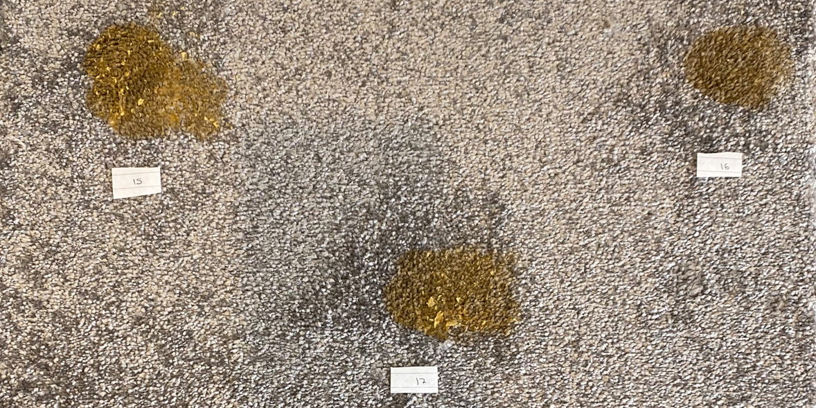 Best carpet stain removers Which?