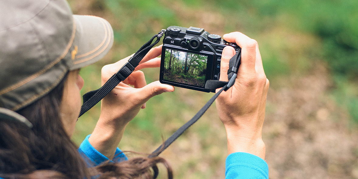 Person looking at a compact camera's monitor