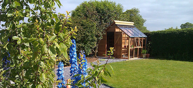 Greenhouse shed