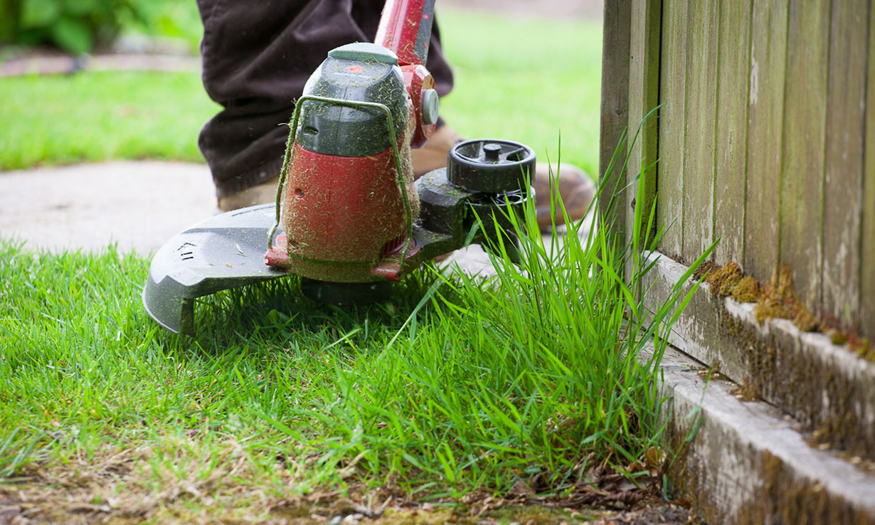 Top gardening jobs for July Which? News