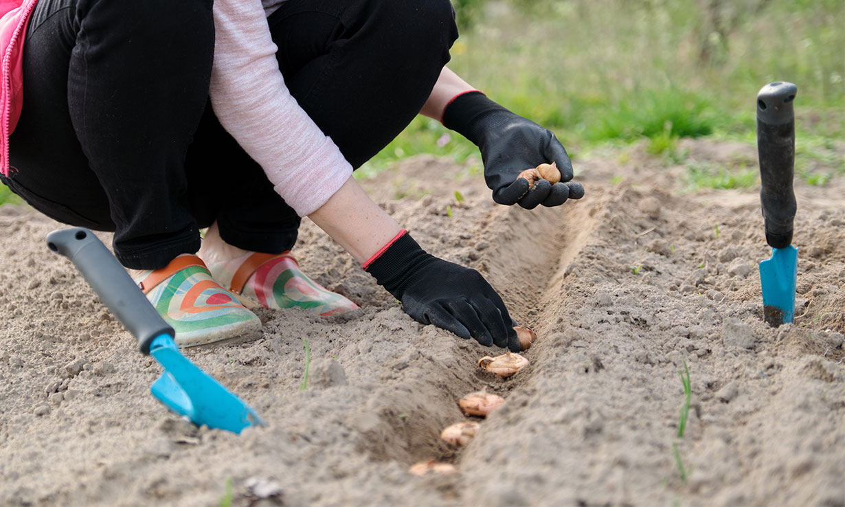 Top gardening jobs for spring Which? News