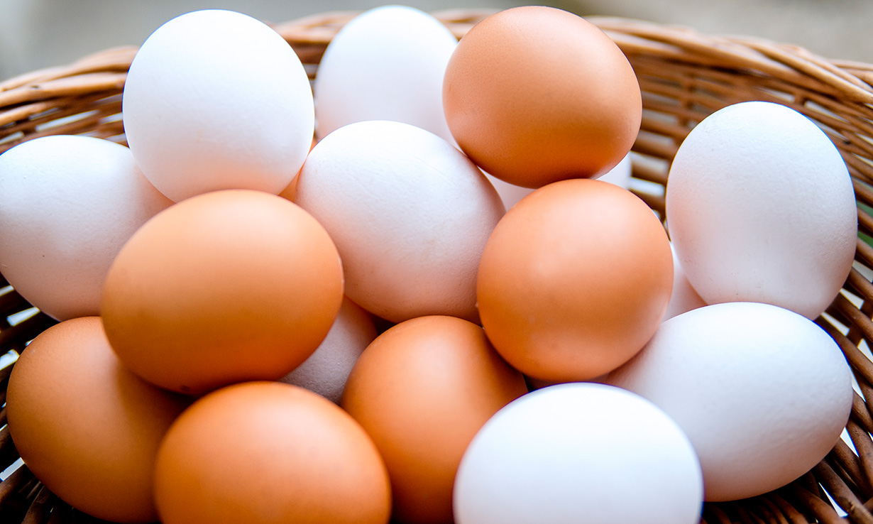 Are expensive eggs best? Which? News