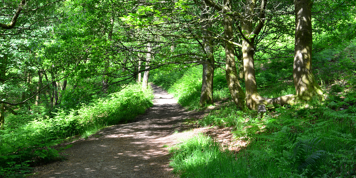 Easy walks near Cornwall, London, Lake District, Perthshire and more