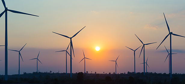 Windfarm carbon offsetting advice 486047