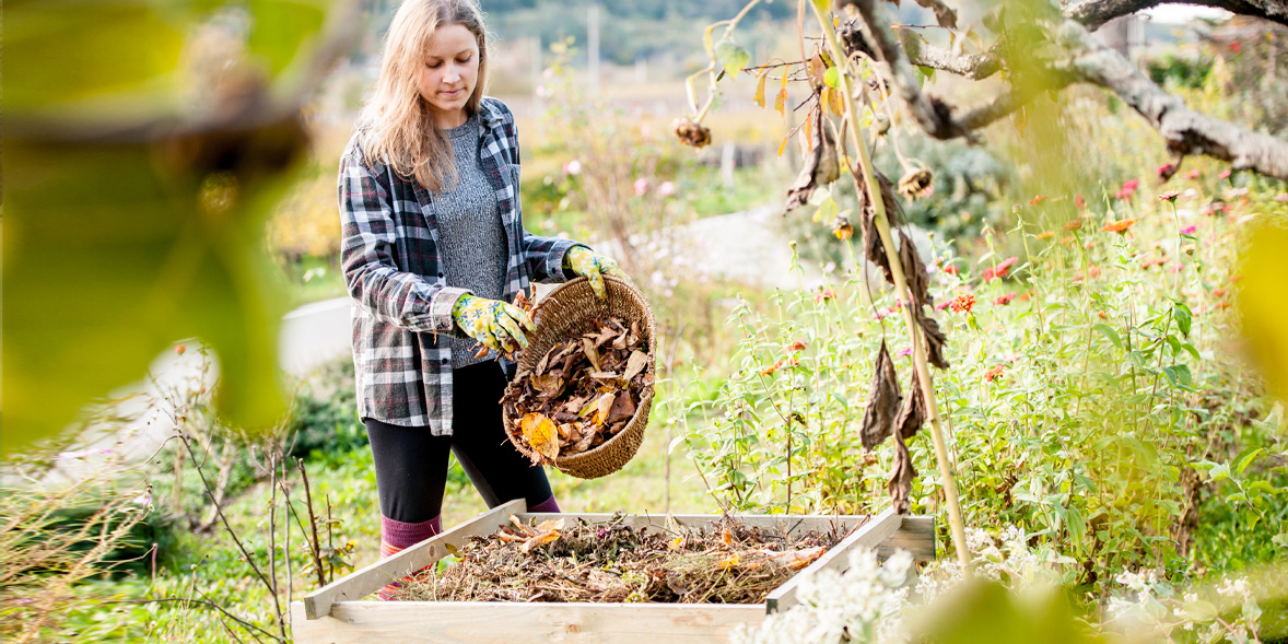 How to make compost leaves