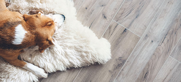 Dog napping on a rug on top of wood-effect tiles