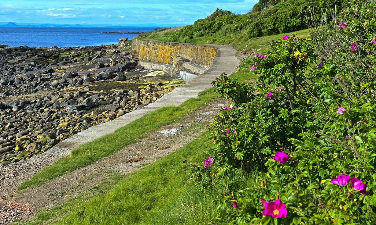 Fife Coastal Path
