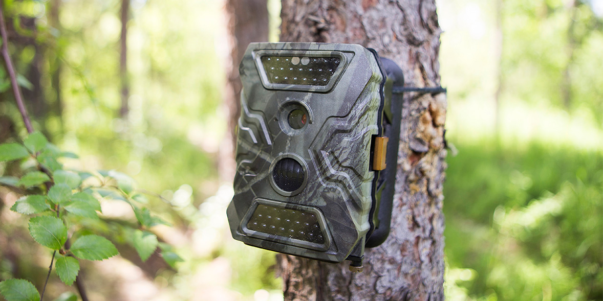 Best wildlife cameras Which?