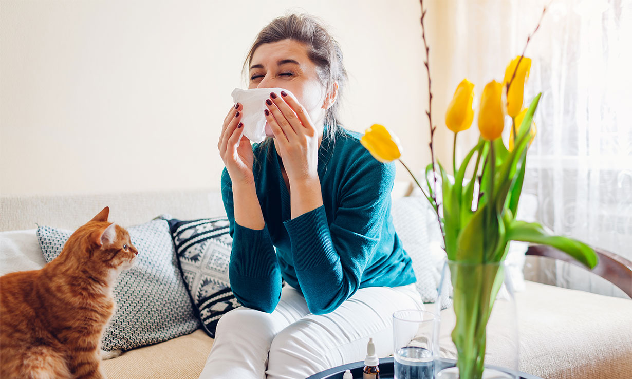 Can you use an air purifier for hay fever? Which? News
