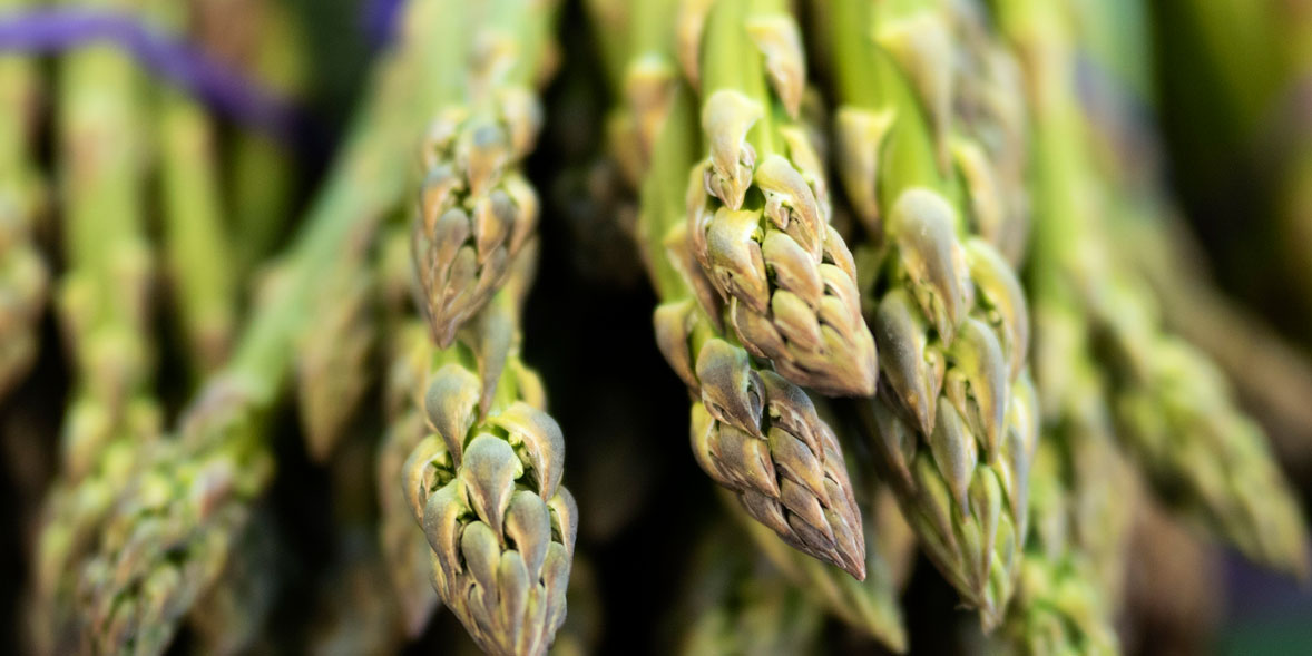 How To Grow Asparagus Best Asparagus Varieties Which?