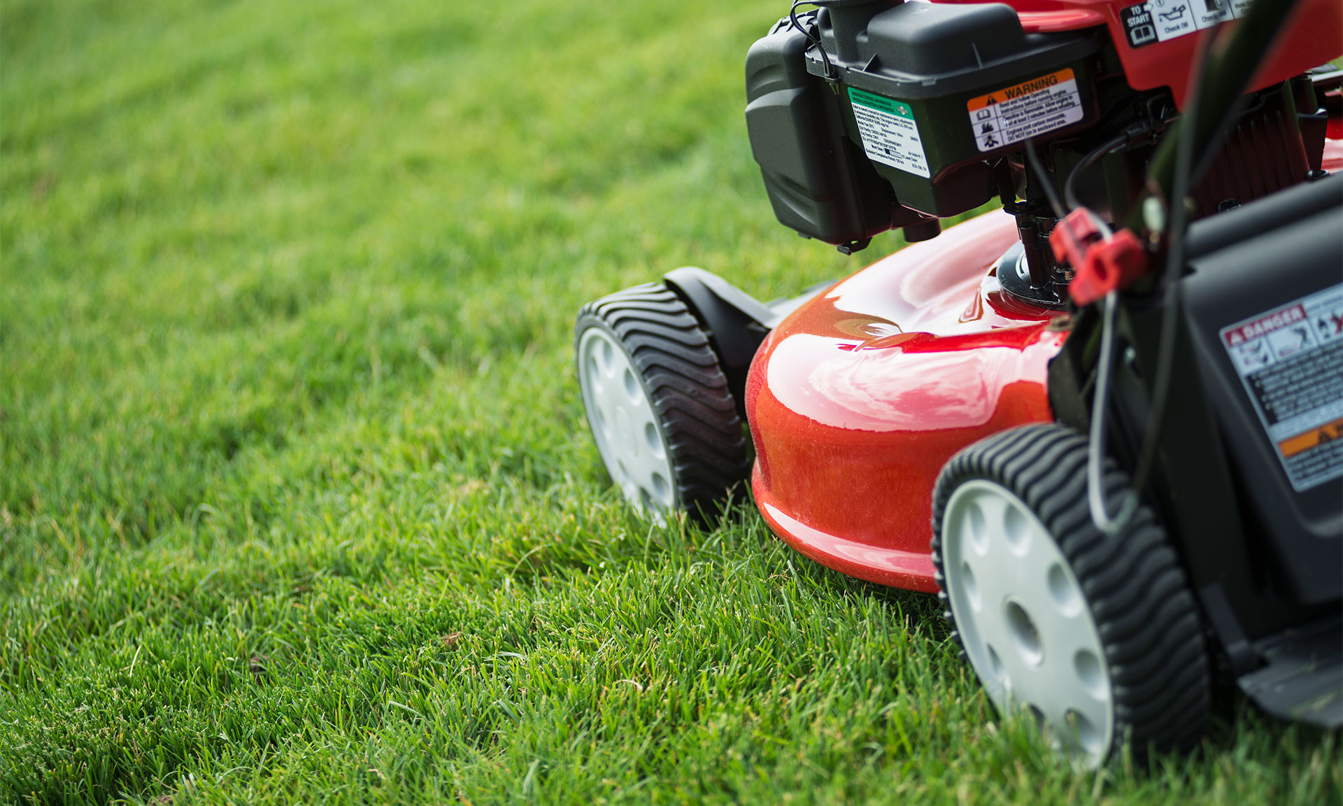 Five tips for storing your lawn mower this winter Which? News