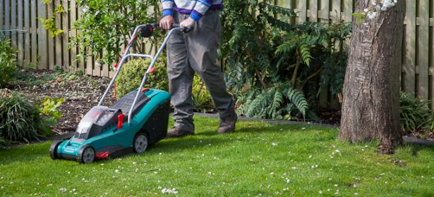 Mowing a lawn in spring