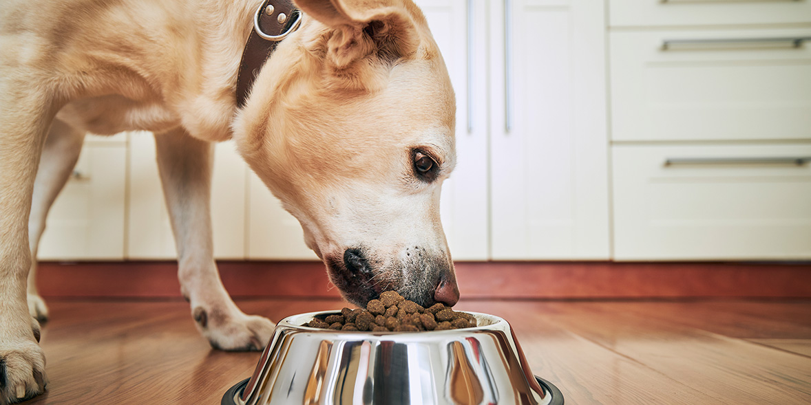 Aldi Wet Dog Food Review Discount Vivatumusica