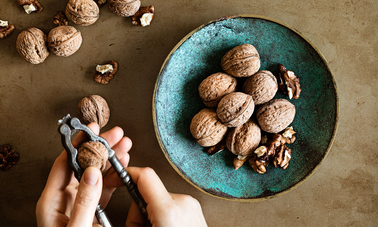 Best Nutcrackers for Christmas Which? tests reveal the best