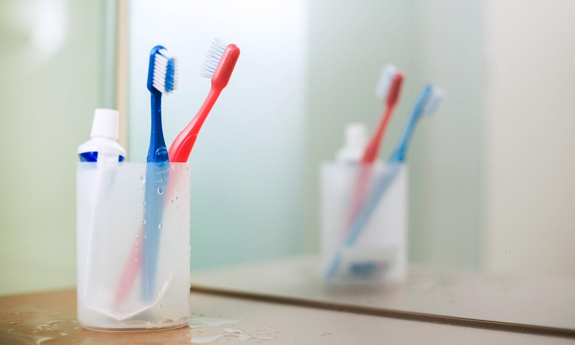 Alternatives to plastic toothbrushes what are the options? Which? News