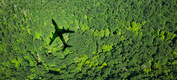 Carbon offsetting: How to reduce the impact of flying - Which?