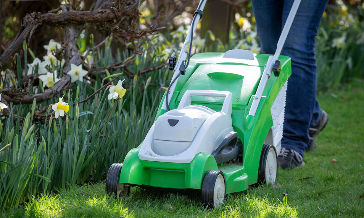 Top gardening jobs for April Which? News