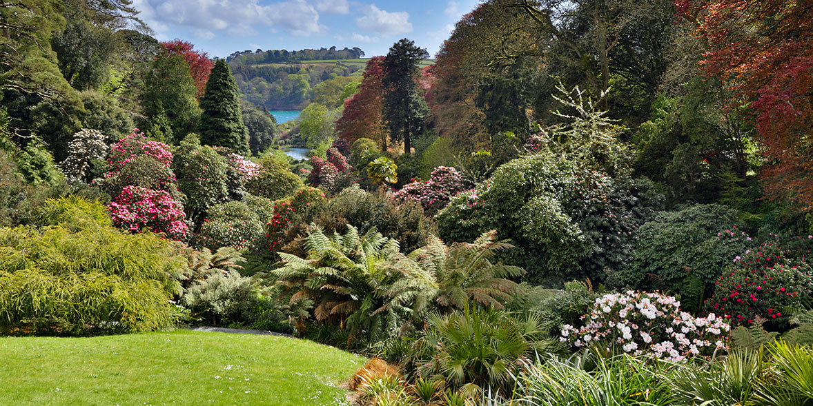 Trebah Garden