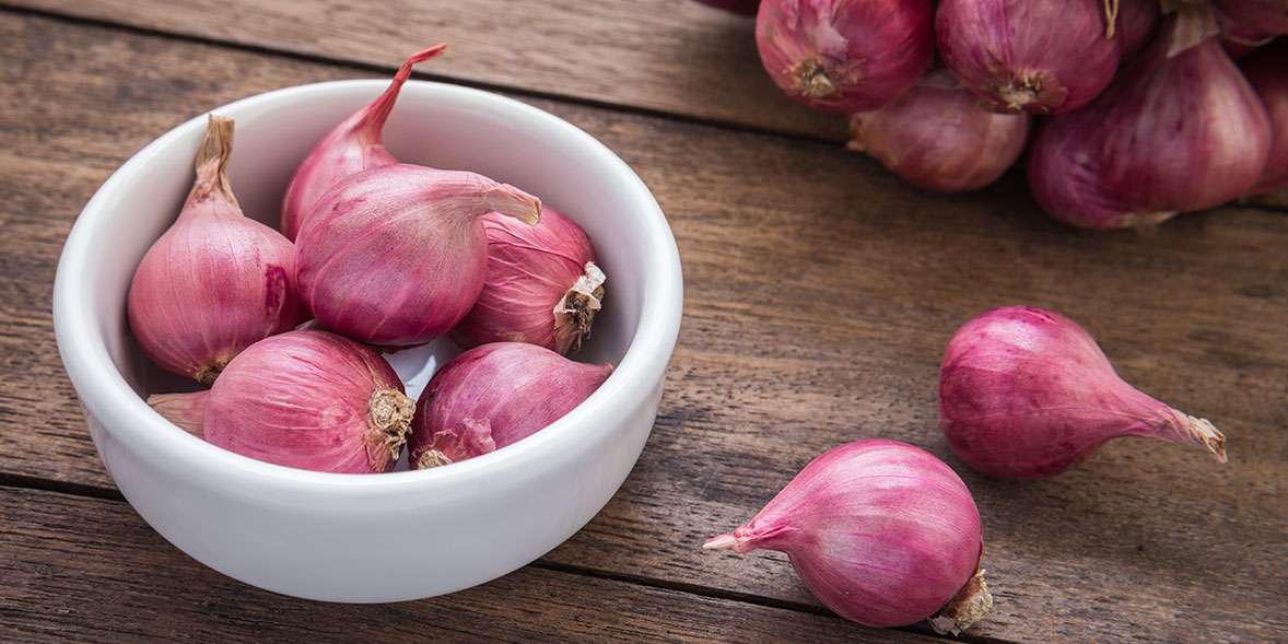 Best FAQ: What Are Shallots?