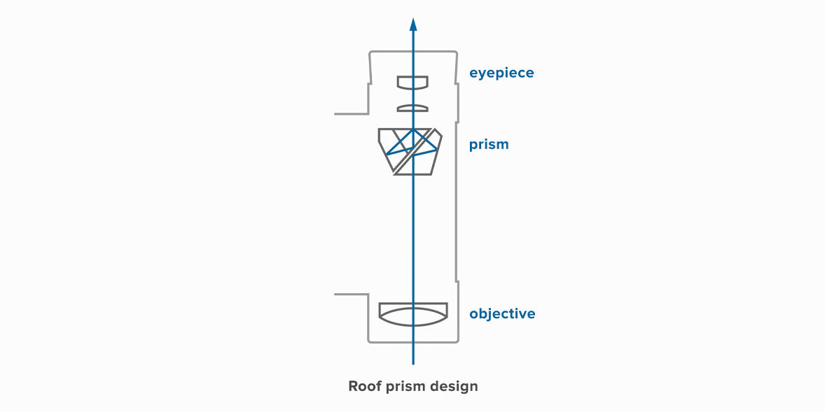 Diagram showing structure of roof prism binoculars