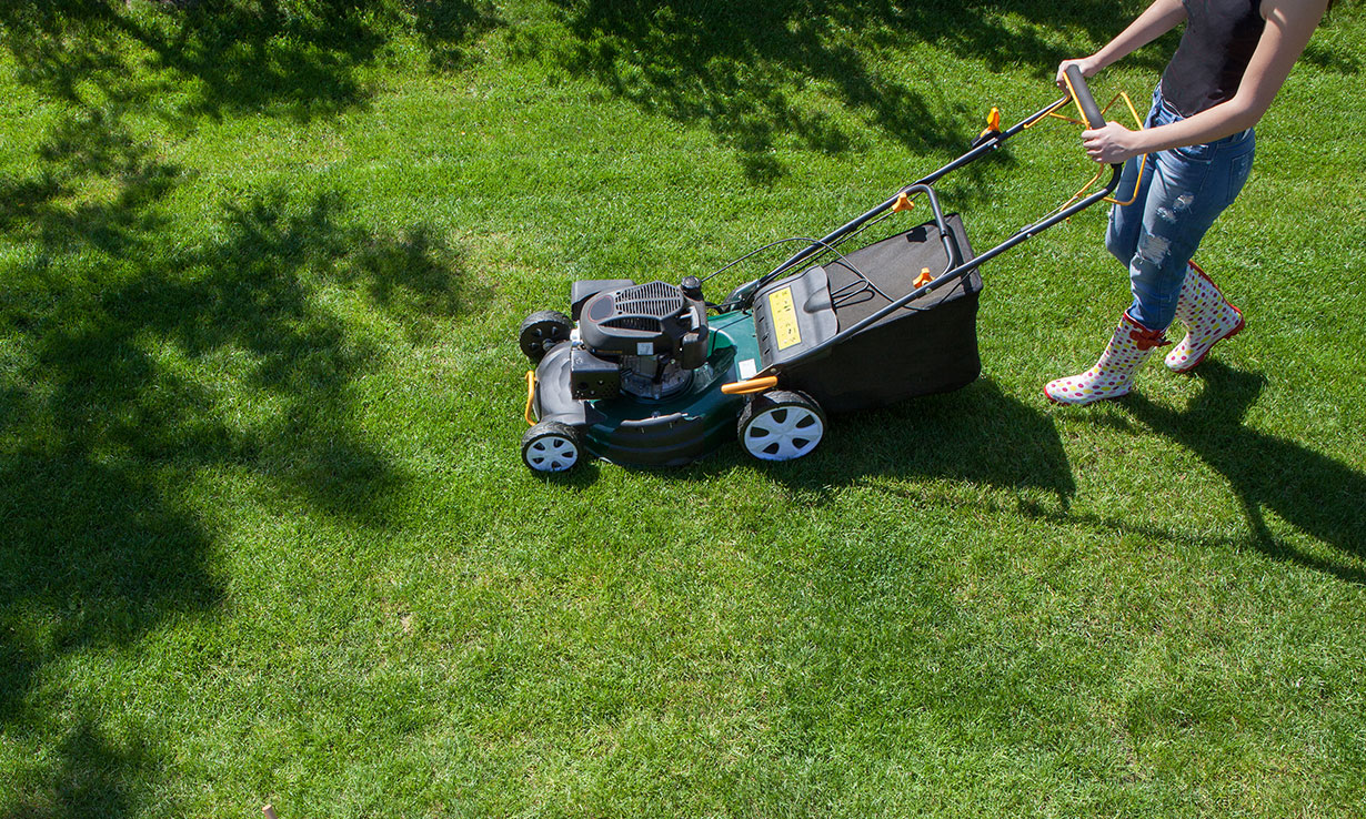 Top gardening jobs for spring Which? News